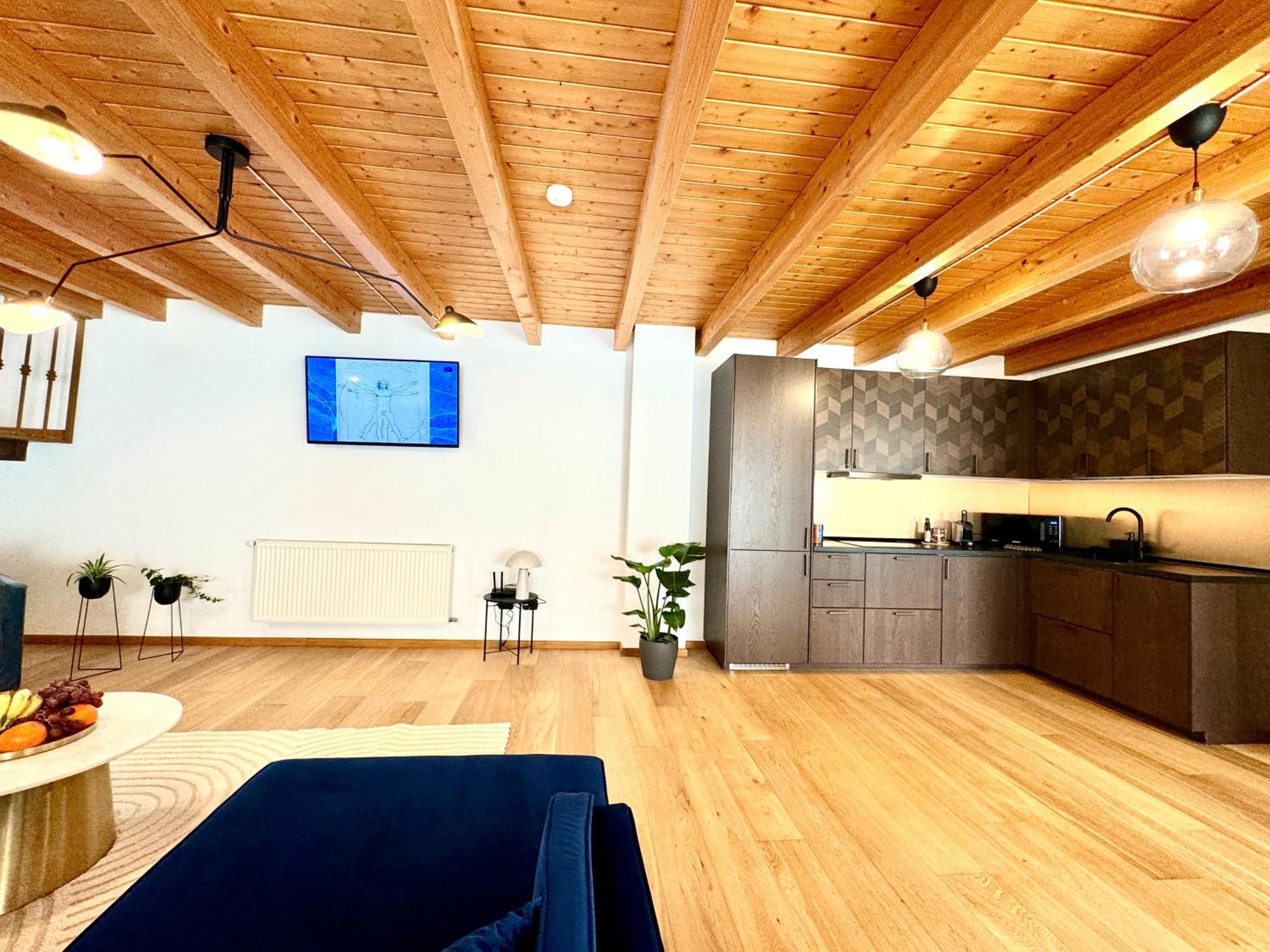 Blue Nest Apartment Timisoara Exterior photo